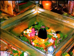 Varanasi Vishwanatha in the iconic image of shivalingam