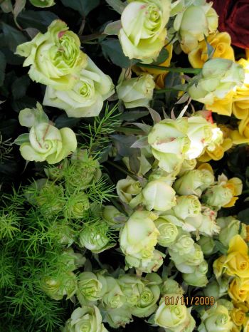 BFN GreenRosesIMG_1291