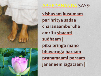 O Mind! Drink the honey that flows from the lotus feet of the Mother...best remedy for worldly disease!